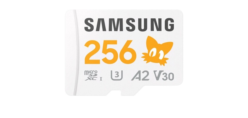 Carte mémoire micro SD Samsung Sonic PRO Plus 256 Go