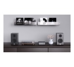 Amplificateur hi-fi Wiim Amp Pro Space Grey