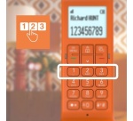 Téléphone sans fil Alcatel ePure Iconic Orange