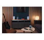 Enceinte connectée Hifi Onkyo GX-30ARC Blanc vendues par paire