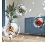 Déshumidificateur Philips Serie 3000 DE3306/11 Blanc