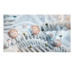 Déshumidificateur Philips 2-en-1 Purificateur d'air HEPA Serie 5000 DE5305/11 Blanc