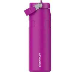 Gourde et poche à eau Stanley Flip 0,7 L Fuchsia