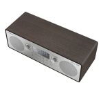 Radio Panasonic DAB+/FM RF-D100BT