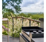 Plancha Forge Adour PREMIUM E 60 I