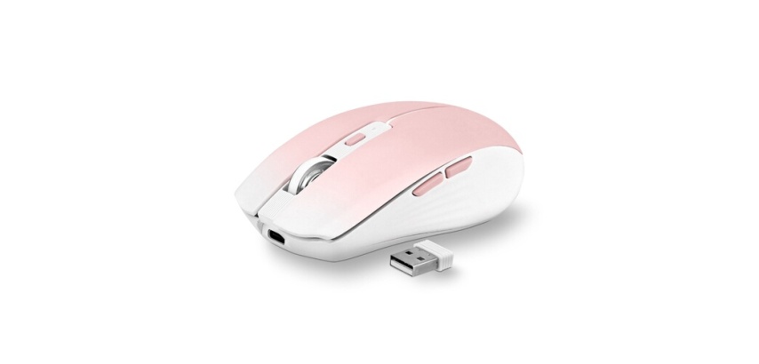 Souris Tnb GRADIENT - Souris sans fil rechargeable DUAL CONNECT - rose