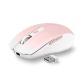 Souris Tnb GRADIENT - Souris sans fil rechargeable DUAL CONNECT - rose