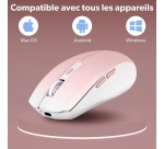 Souris Tnb GRADIENT - Souris sans fil rechargeable DUAL CONNECT - rose