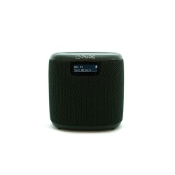 Radio Pure Woodland Mini Vert