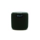 Radio Pure Woodland Mini Vert