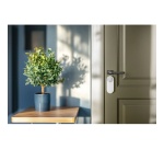 Serrure connectée Aqara U200 Lite blanc