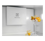 Réfrigérateur congélateur en bas Electrolux ENT6MD18S4