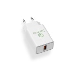 Chargeur pour téléphone mobile Greenjoy Embout secteur USB 12W 2,4A Blanc