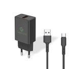 Chargeur pour téléphone mobile Greenjoy Embout Secteur USB avec Cable Charge et Data Type C 2,4A 1m Noir