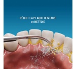 Accessoire dentaire Haepi Pack de 3 Têtes de détartrage