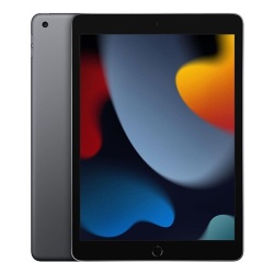 iPad Apple 10,2" Puce A13 Bionic 64 Go Gris sidéral LTE 9ème Génération 2021 Reconditionné