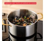 Marmite / Faitout Tefal PAUL BOCUSE  H8244602 24 CM AVEC COUVERCLE EN VERRE