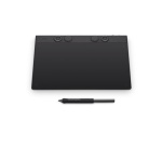 Tablette graphique Wacom INTUOS PRO PEN M