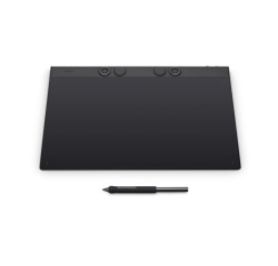 Tablette graphique Wacom INTUOS PRO PEN L