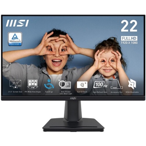 Ecran PC Msi PRO MP225