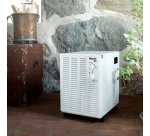 Déshumidificateur Wood's SW22FW