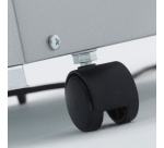 Déshumidificateur Wood's SW42FM