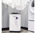 Déshumidificateur Wood's MDX20P