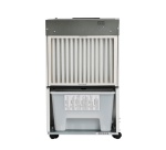 Déshumidificateur Wood's LD40