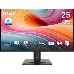 Ecran PC Msi PRO MP251 E2