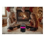 Lecteur Karaoké Muse ENCEINTE BLUETOOTH KARAOKE M-530 KA