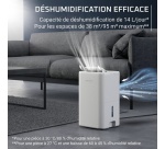 Déshumidificateur Rowenta Extreme Dry Compact DH5250F0