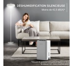 Déshumidificateur Rowenta Extreme Dry Compact DH5250F0