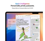 MacBook Apple MacBook Air 15" 2 To SSD 24 Go RAM Puce M4 CPU 10 cœurs GPU 10 cœurs Bleu Ciel