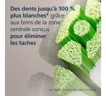 Brossette dentaire Philips Sonicare HX6062/88 Optimal White Lot de 2 Noir