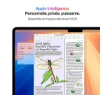 MacBook Apple MacBook Air 13" 2 To SSD 24 Go RAM Puce M4 CPU 10 cœurs GPU 10 cœurs Argent