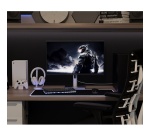 Ecran PC Japannext Gaming 27'' IPS WQHD 300Hz