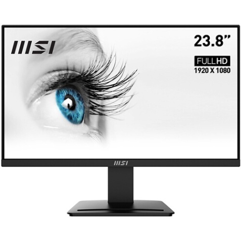 Ecran PC Msi PRO MP2412