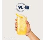 Sirop et concentré Sodastream Concentre Saveur CITRON SANS SUCRES 440ml