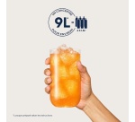 Sirop et concentré Sodastream Concentre Saveur AGRUMES SANS SUCRES 440ml