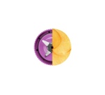 Blender Nutribullet FLEX portable - Violet NBP013VT