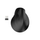 Souris Mobility Lab verticale sans fil Ergo M30W Left Noir