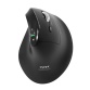 Souris Port Designs sans fil Ergo Auditor Noir