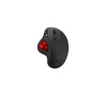 Souris Mobility Lab sans fil Trackball Ergo Ball W Noir