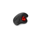 Souris Mobility Lab sans fil Trackball Ergo Ball W Noir