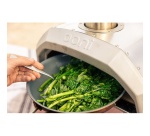 Four à pizza Ooni KARU 12