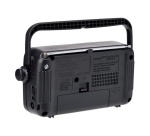 Radio Panasonic RF-2400DEG-K