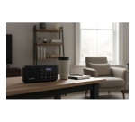 Radio Pure Elan Move - Portable DAB+ & FM avec Bluetooth, Noir