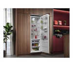 Réfrigérateur 1 porte Aeg TK9ZS181DC encastrable 178  cm
