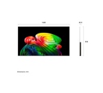 TV OLED Lg 4K OLED OLED65B6 165 cm 2026