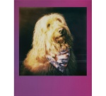 Papier photo instantané Polaroid Film couleur pour Go - Cadre dégradé de couleurs